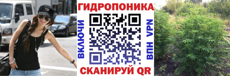 Продажа наркотиков Полярный NBOMe Метадон Псилоцибиновые грибы ГАШИШ A-PVP Мефедрон Конопля