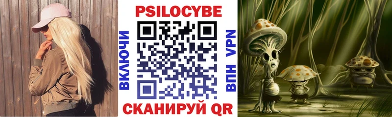 купить наркотик  Полярный  Псилоцибиновые грибы прущие грибы 